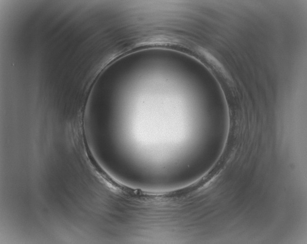 X0000071821329200606301243