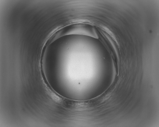 X0000071821330200606301243