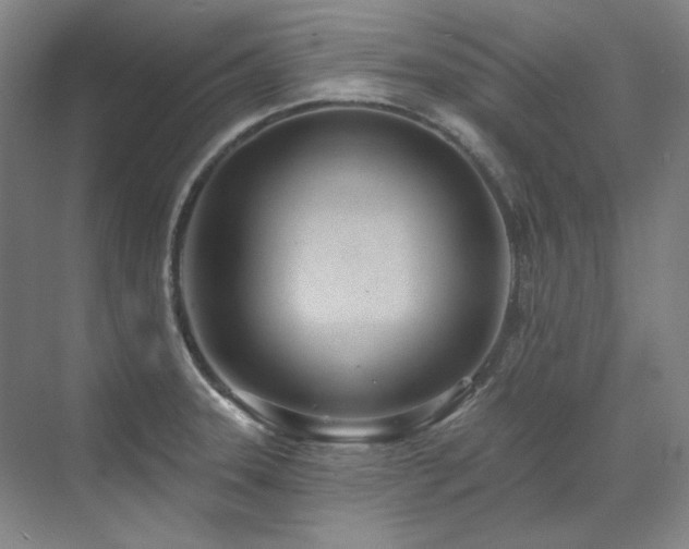 X0000071821331200606301243