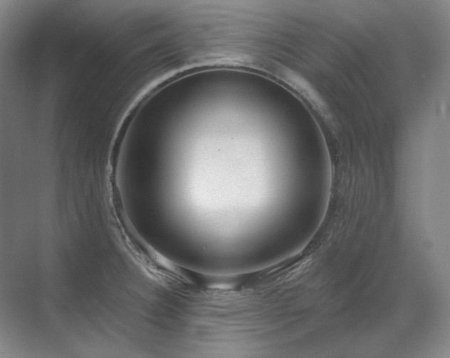 X0000071821332200606301243
