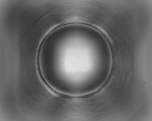 X0000071821333200606301243