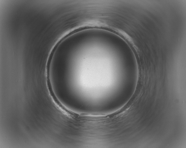X0000071821335200606301243