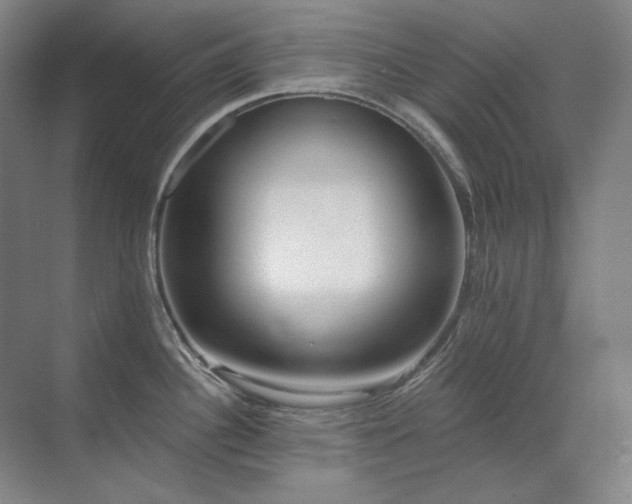 X0000071821340200606301243