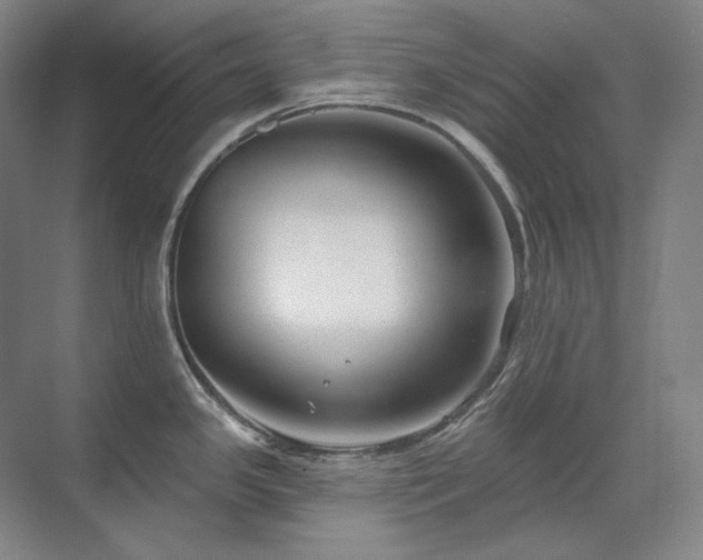 X0000071821341200606301243