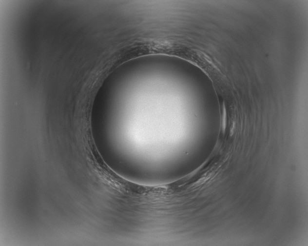 X0000071821345200606301242