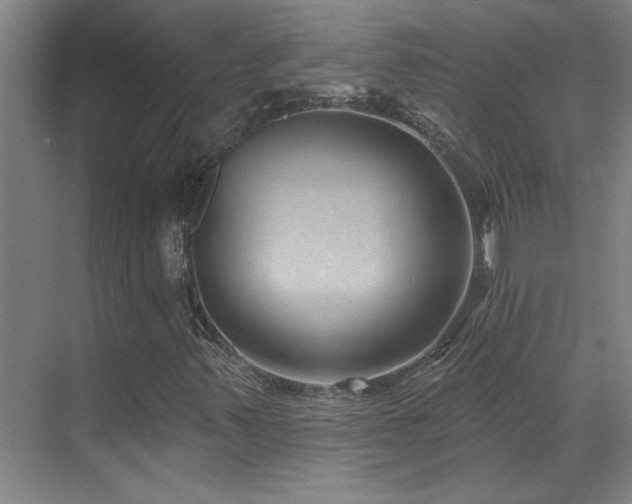 X0000071821347200606301242