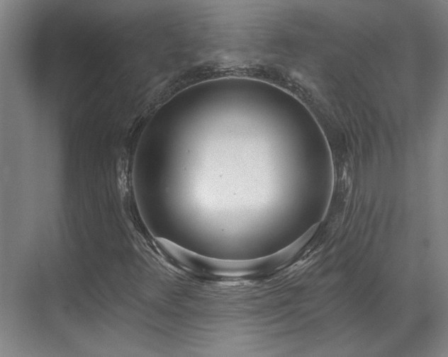 X0000071821348200606301242