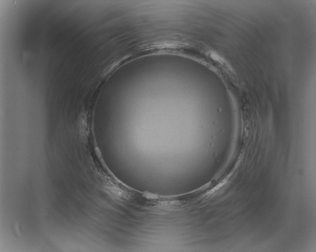 X0000071821353200606301242