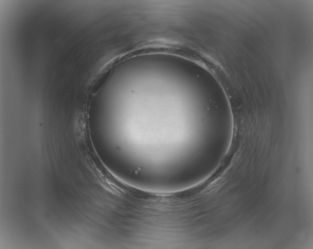 X0000071821355200606301242