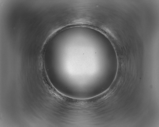 X0000071821358200606301242