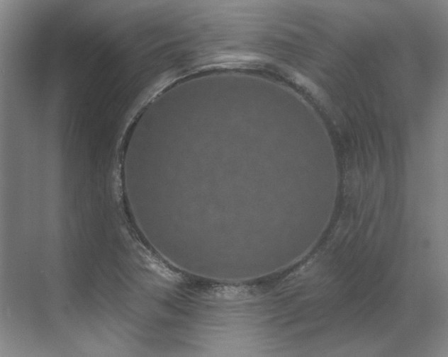 X0000071821362200606301242