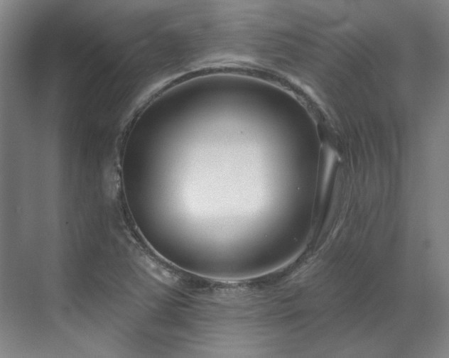 X0000071821363200606301242