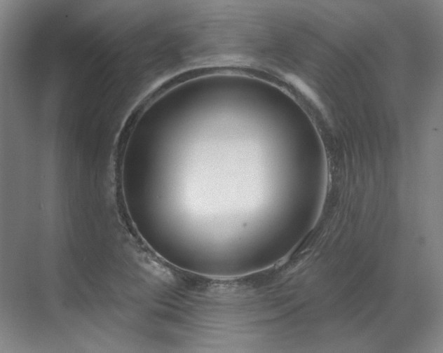 X0000071821364200606301242