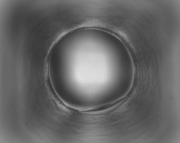 X0000071821366200606301242
