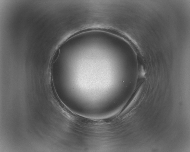 X0000071821367200606301242