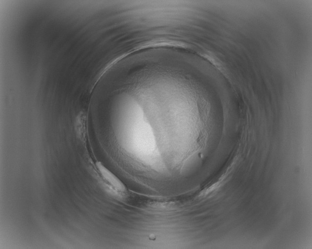 X0000071821369200606301242