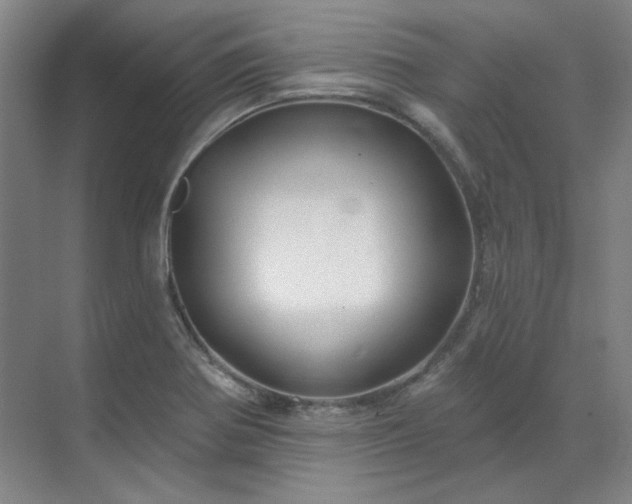 X0000071821370200606301242