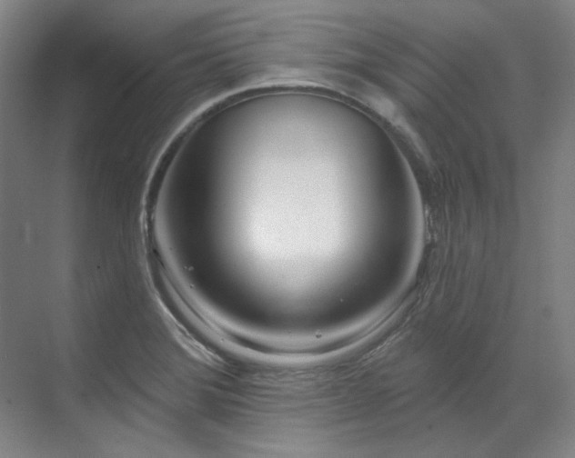 X0000071821372200606301242