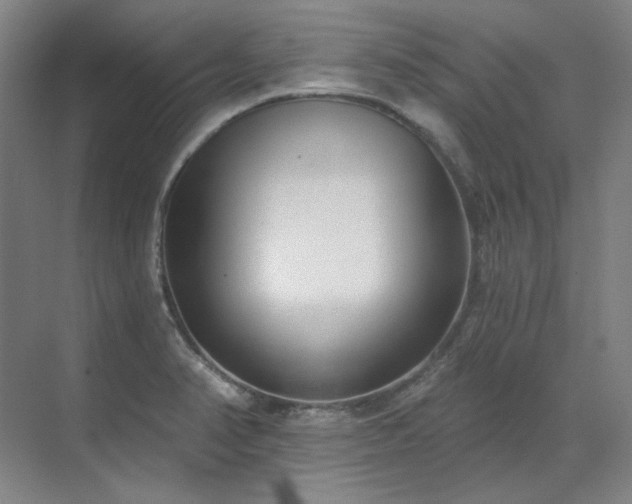 X0000071821374200606301242