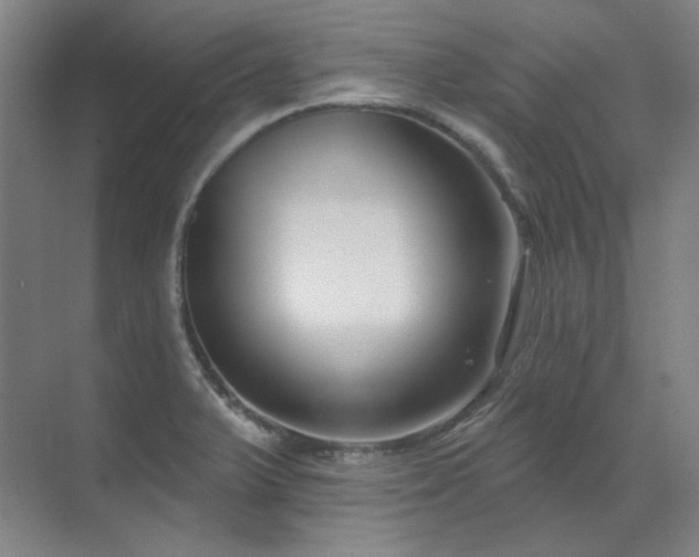 X0000071821375200606301242
