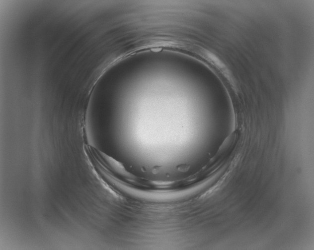 X0000071821377200606301242
