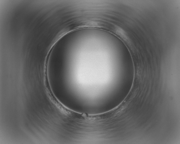 X0000071821378200606301242