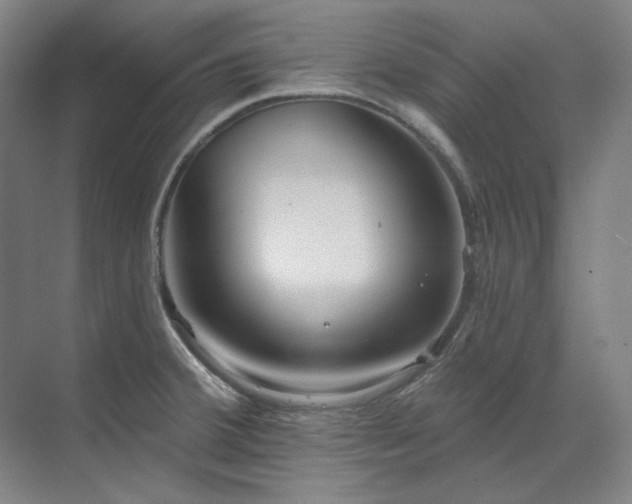X0000071821380200606301241