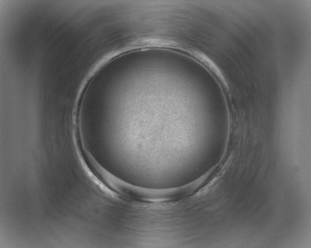 X0000071821381200606301241