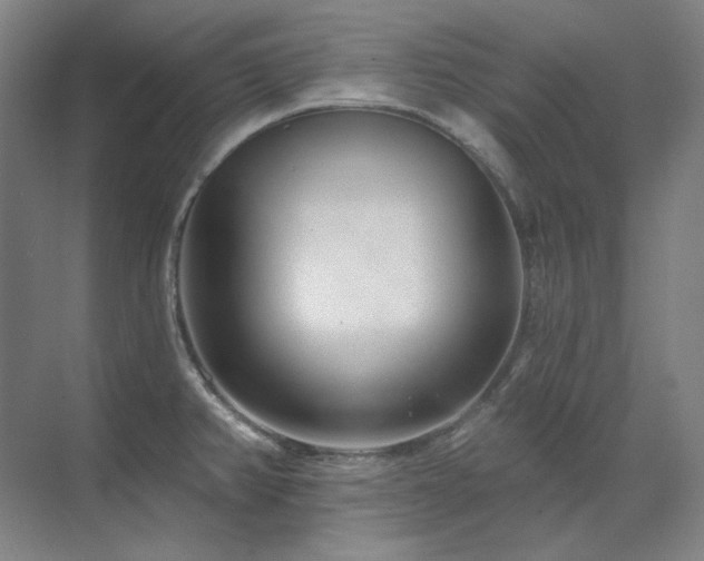 X0000071821382200606301241