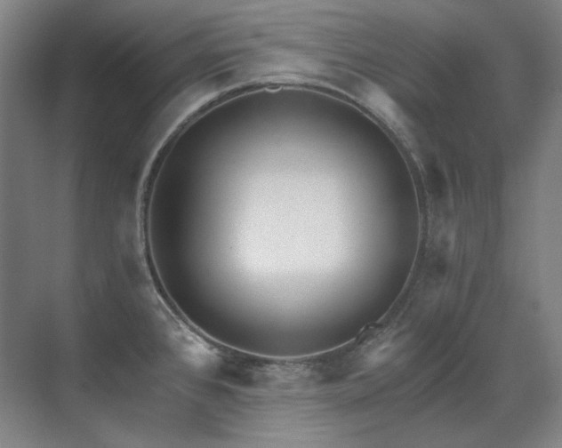 X0000071821384200606301241