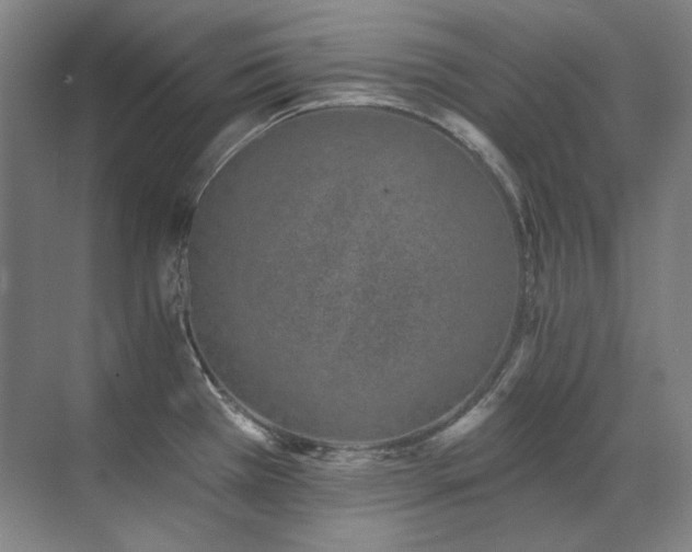 X0000071821385200606301241