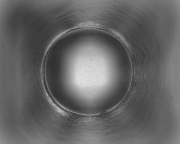 X0000071821387200606301241