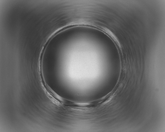 X0000071821388200606301241