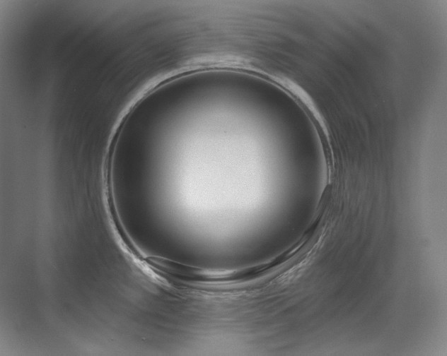 X0000071821389200606301241