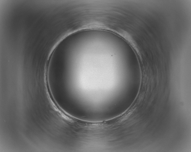 X0000071821390200606301241
