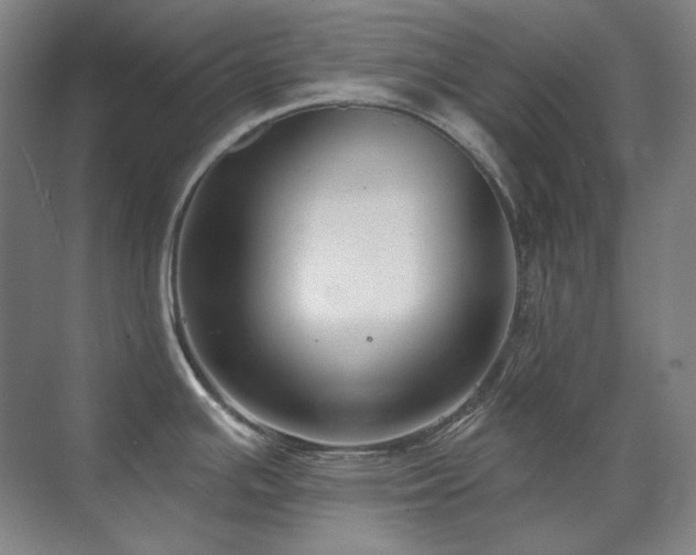 X0000071821391200606301241