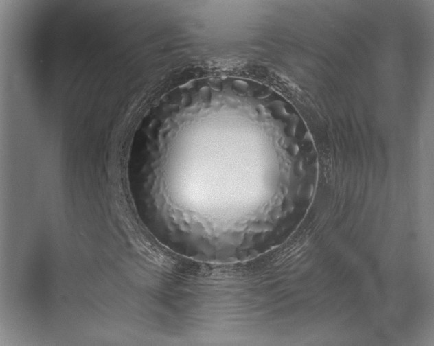 X0000071821393200606301240
