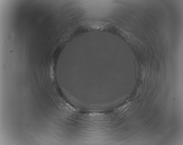 X0000071821394200606301240