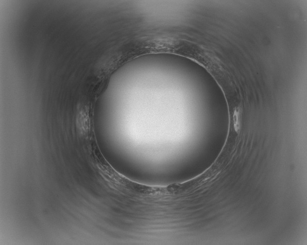 X0000071821395200606301241