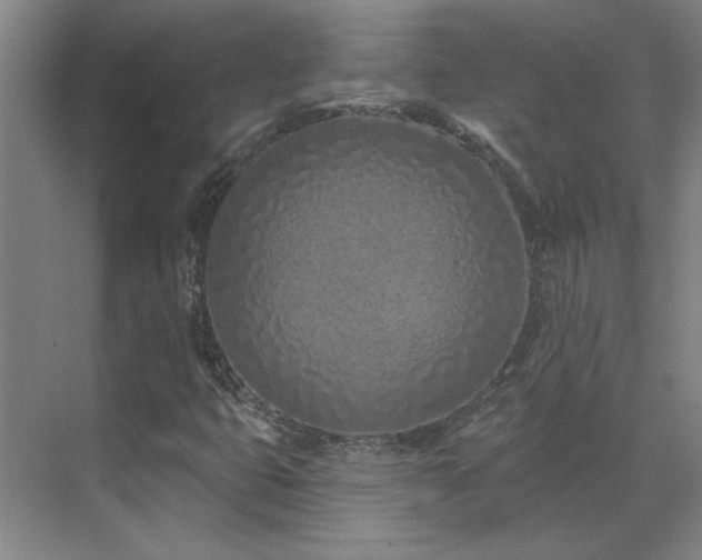 X0000071821399200606301241