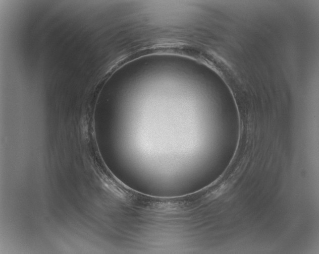 X0000071821401200606301241