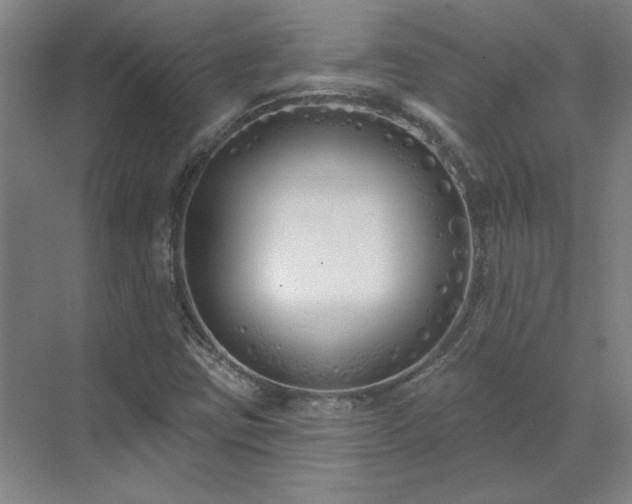 X0000071821403200606301241