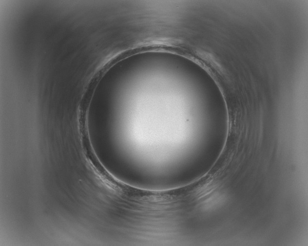 X0000071821404200606301241