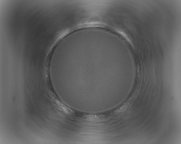 X0000071821405200606301241