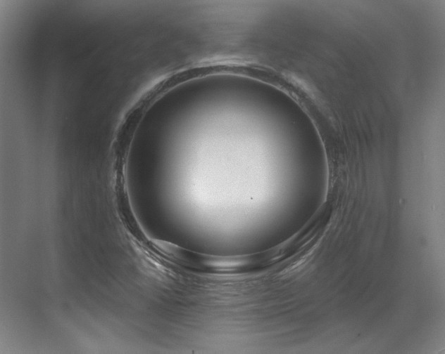 X0000071821406200606301241