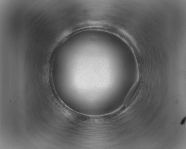 X0000071821411200606301241