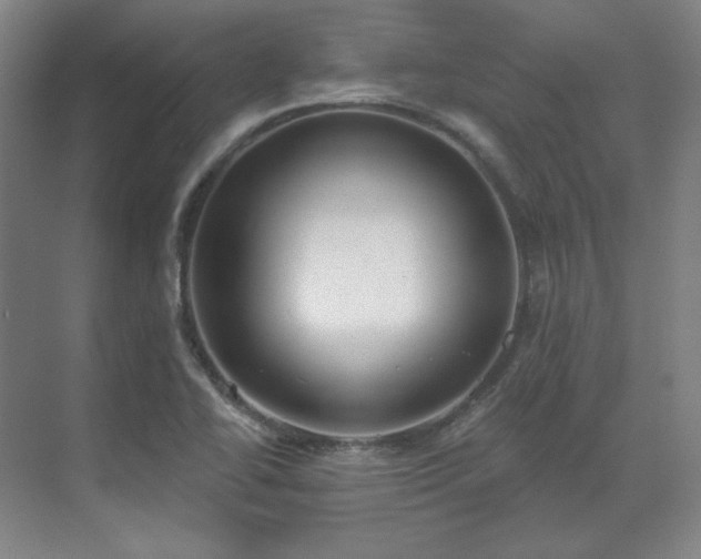 X0000071821414200606301241