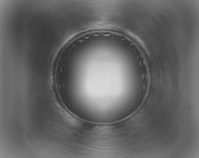 X0000071821415200606301241