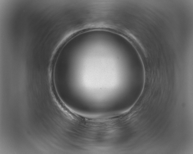X0000071821416200606301241