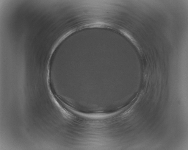 X0000071821418200606301241